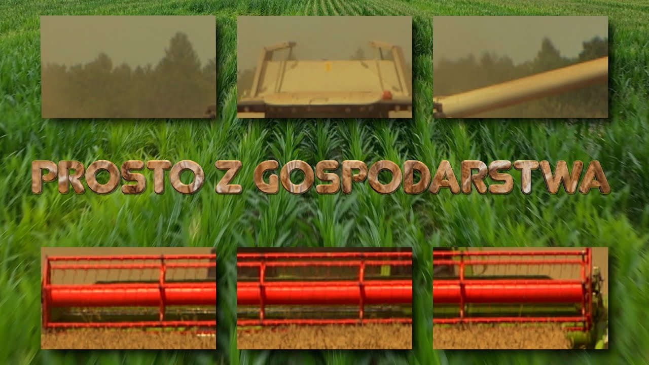 Prosto z Gospodarstwa: Świeże, polskie produkty prosto z gospodarstwa w Zębowicach