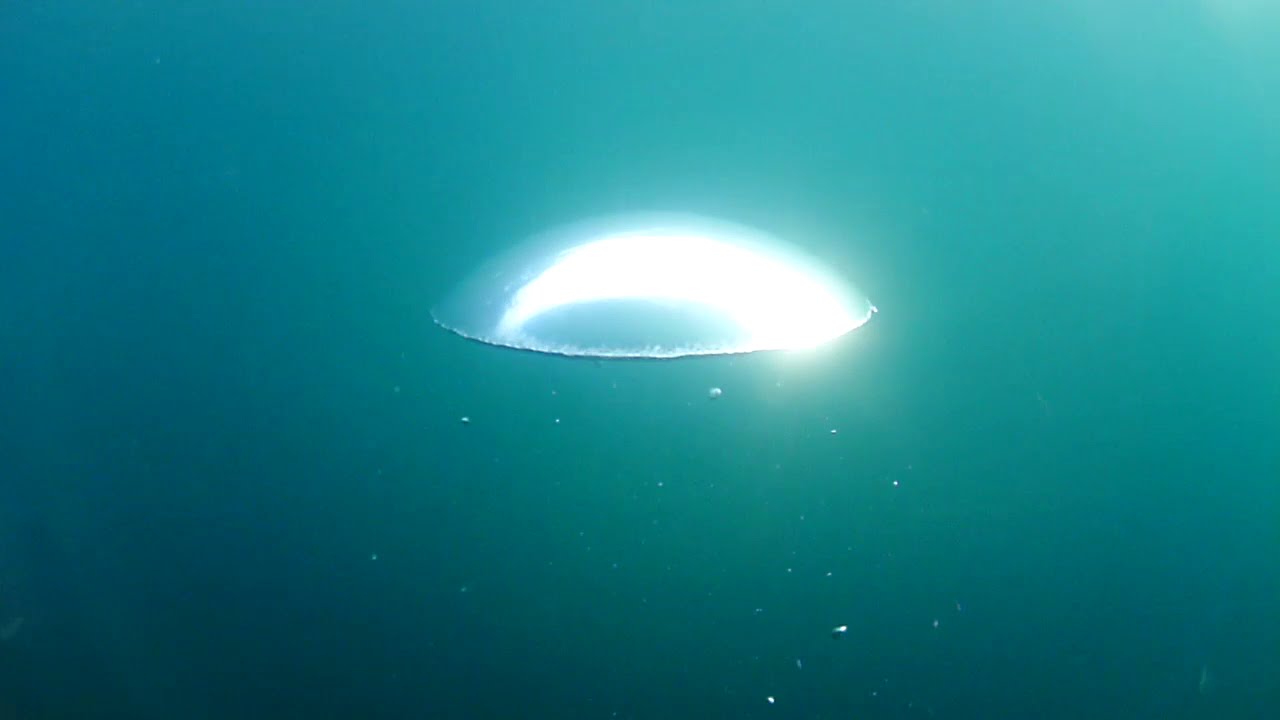 Air Bubbles Rising in Water