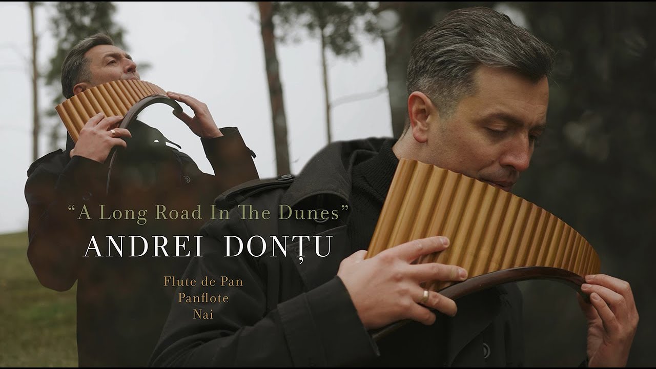 RAIMONDS PAULS - A Long Road In The Dunes ( COVER by Andrei Donțu ) 