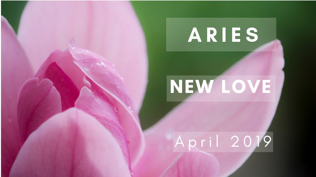 ARIES: New Love! April 2019