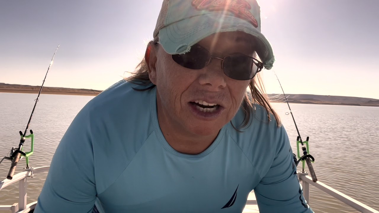 Unbelievable white bass fishing at elephant butte lake in New Mexico.￼