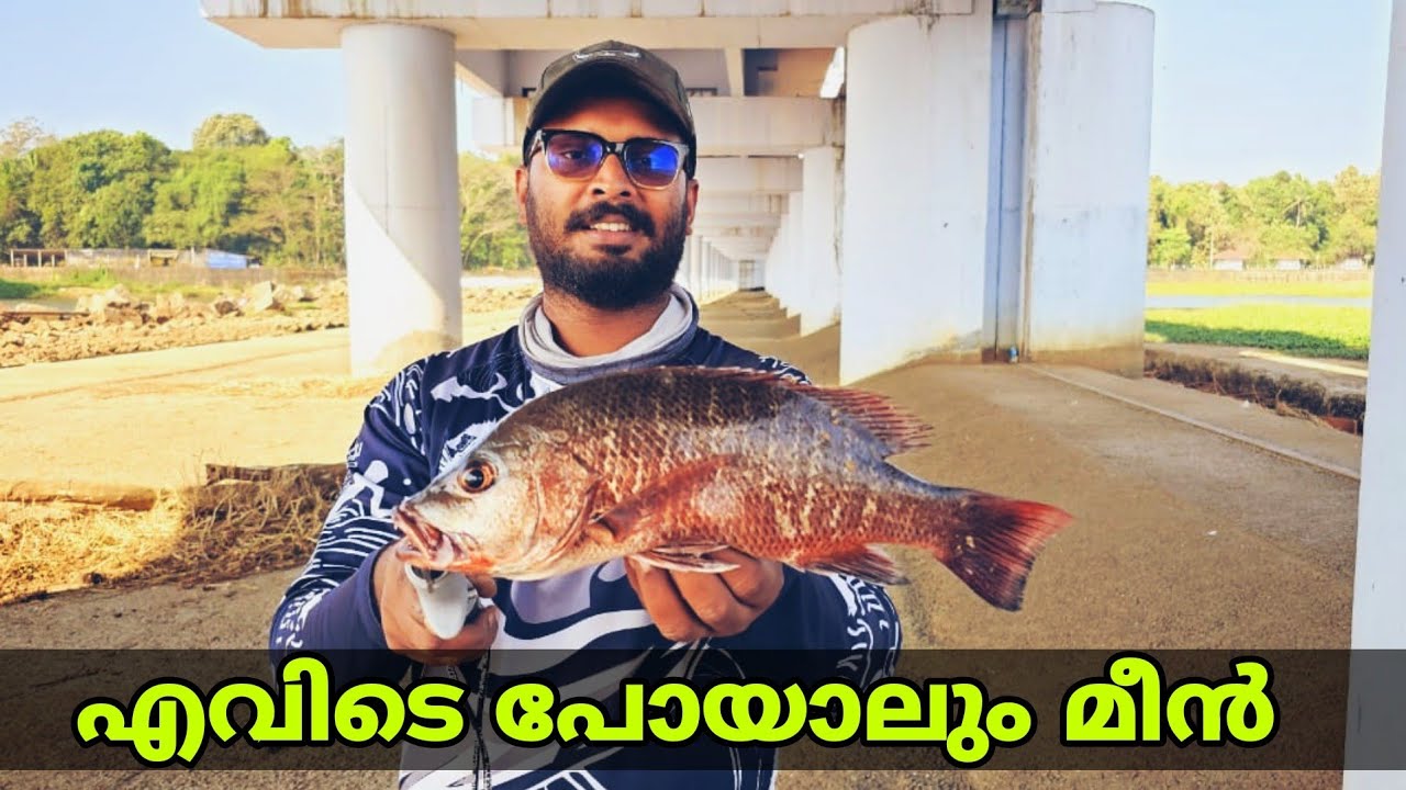 2023 അവസാനം ആയപ്പോൾ മീൻ അടിയോട് അടി | red snapper fishing video | malayalam video | PSYCHO ANGLER..