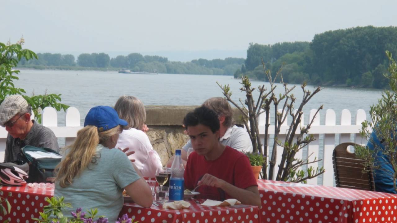 guntrum's weingarten -  DAS Weinerlebnis in Nierstein am Rhein
