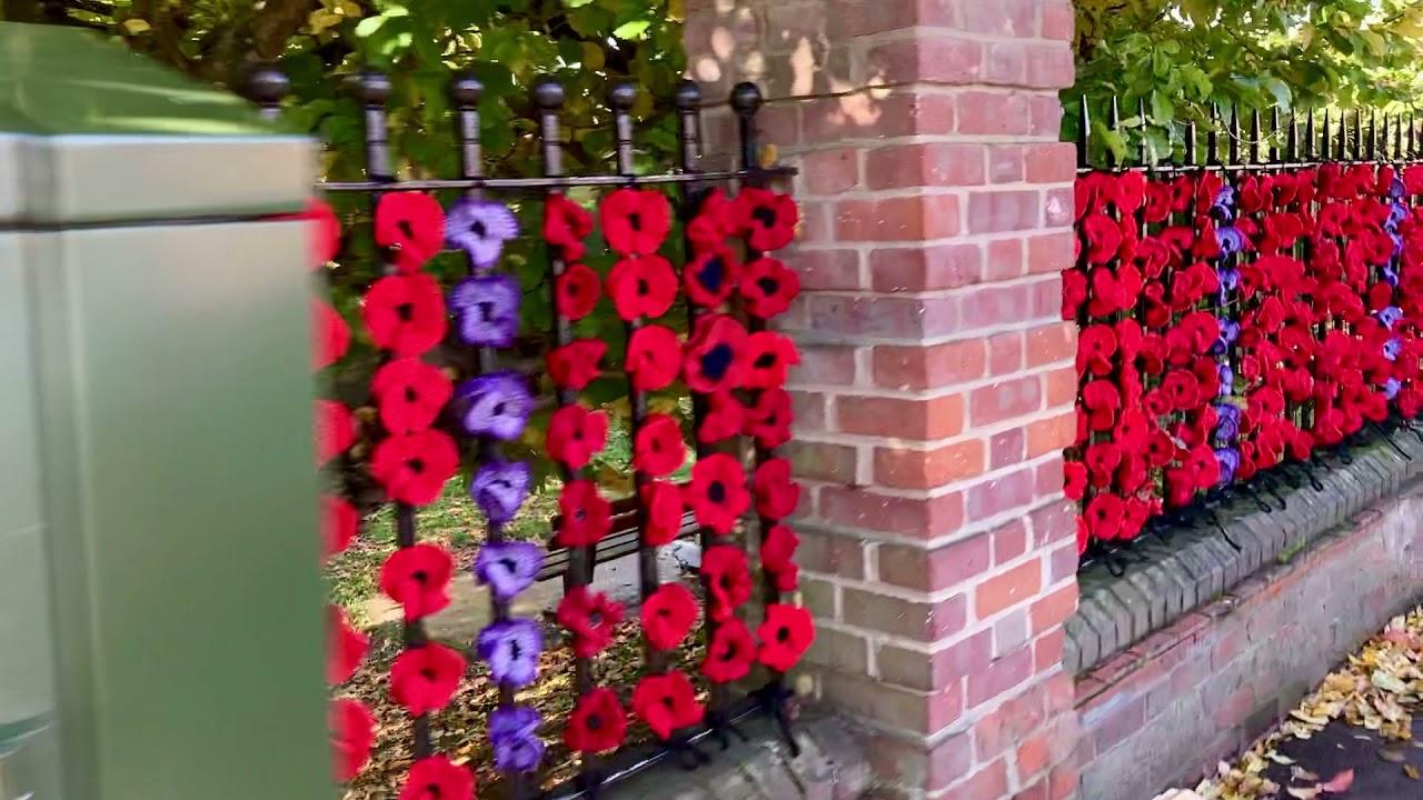 Marlow Poppies Display 2021