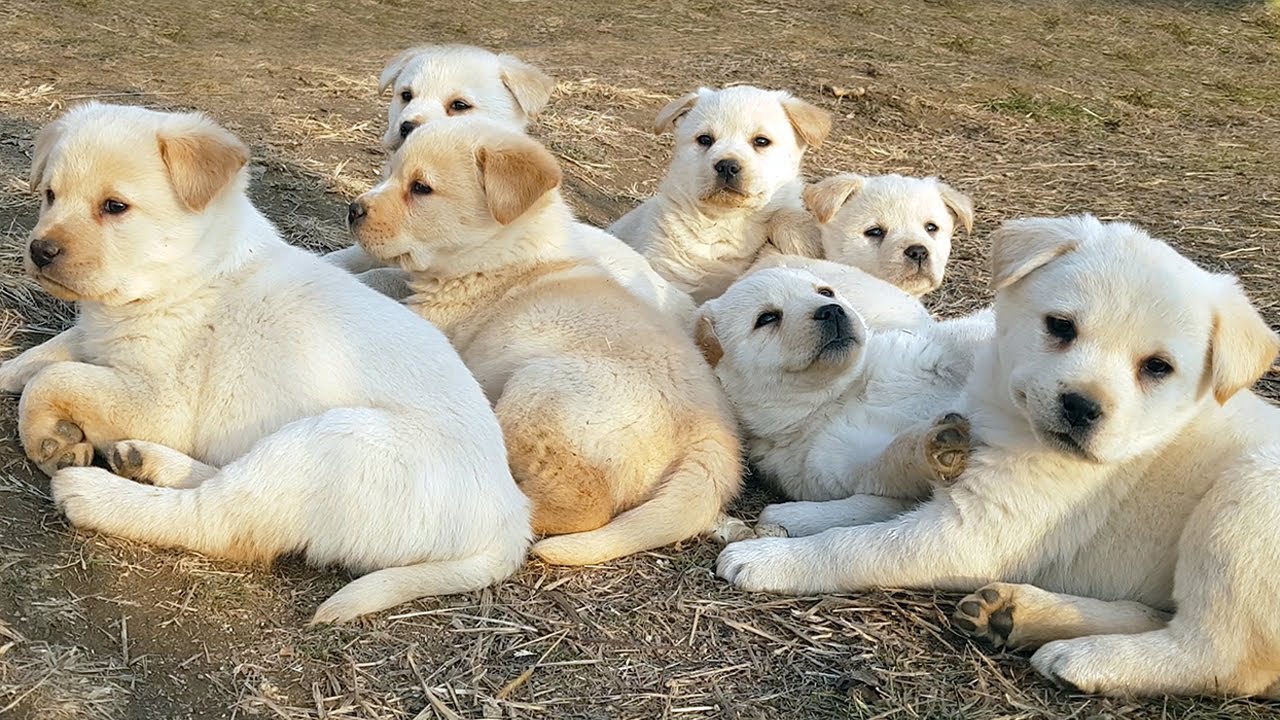 [고요] 오늘은 조용히 숨만 쉬어도 충분했어요 🟢