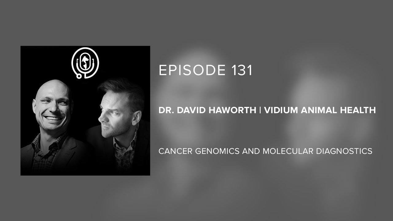 Dr. David Haworth | Vidium Animal Health - Cancer Genomics and Molecular Diagnostics - Episode 131