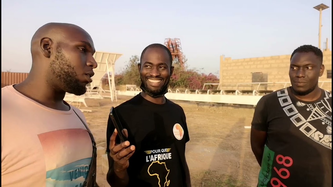 Ils quittent tout en France pour installer à Dakar une centrale qui rapporte jusqu'à 36 000€/jour.