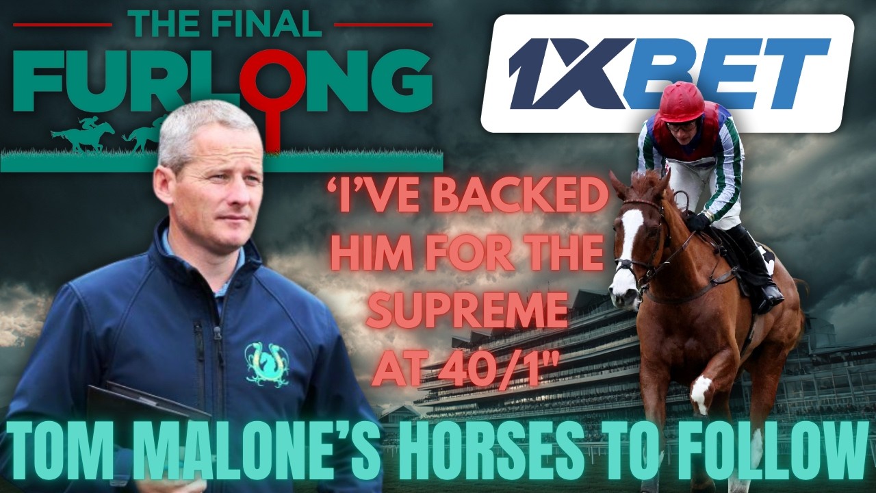 Horses to Follow 2025: Tom Malone Reveals His Big Prospects & Hidden Gems for the Jumps Season