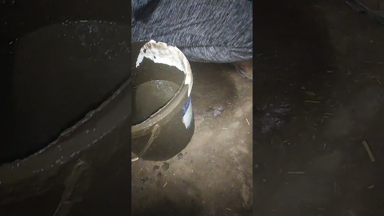تقديم الطعام لمزرعه الدود الزاحف الافريقي