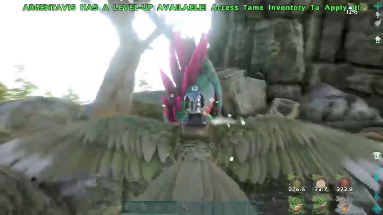 Ark