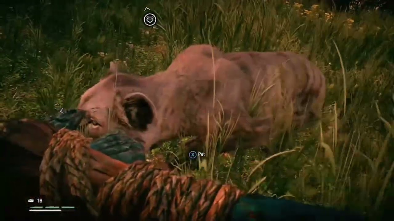 How to tame a Cave Lion in Far Cry Primal (Level 2 Beast Hunter Skills Required)