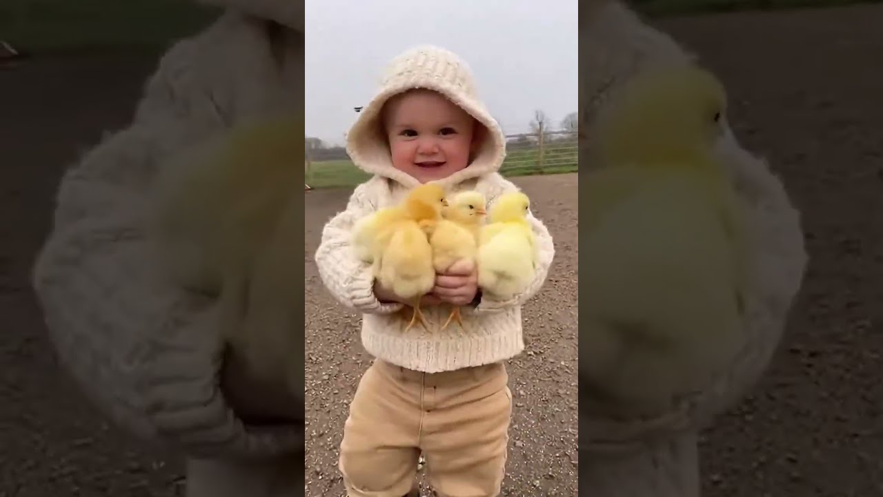 The Cutest Moments You’ll See Today 🐶🐱🐥🐰