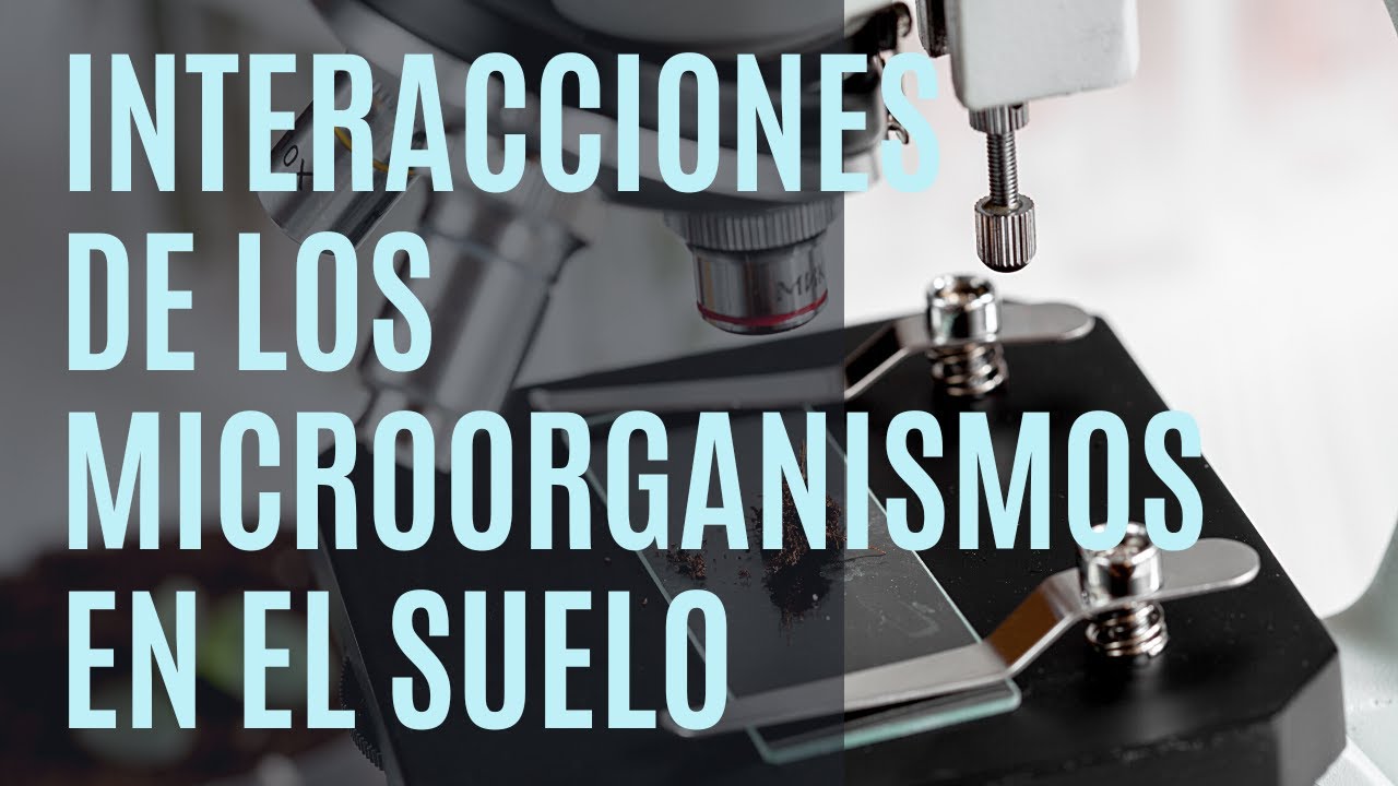 Microbiologia Aplicada - Agricola - Interacciones de los microorganismos y plantas