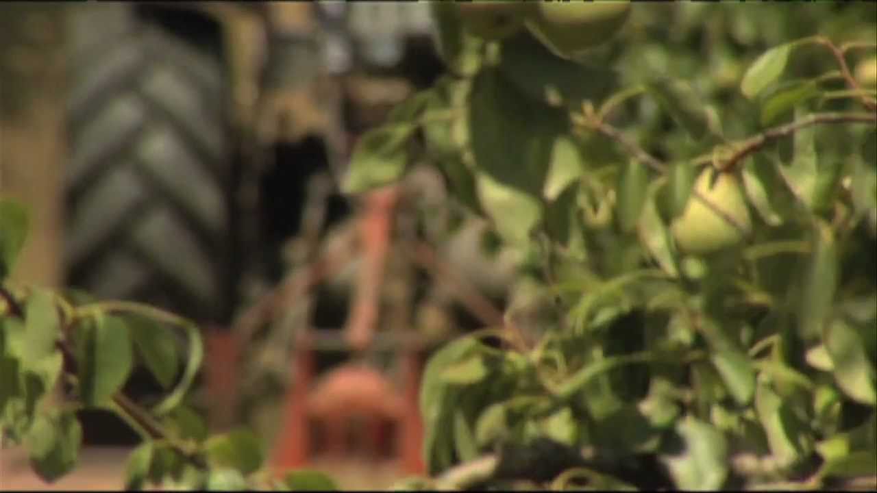High Food Prices Are Here to Stay
