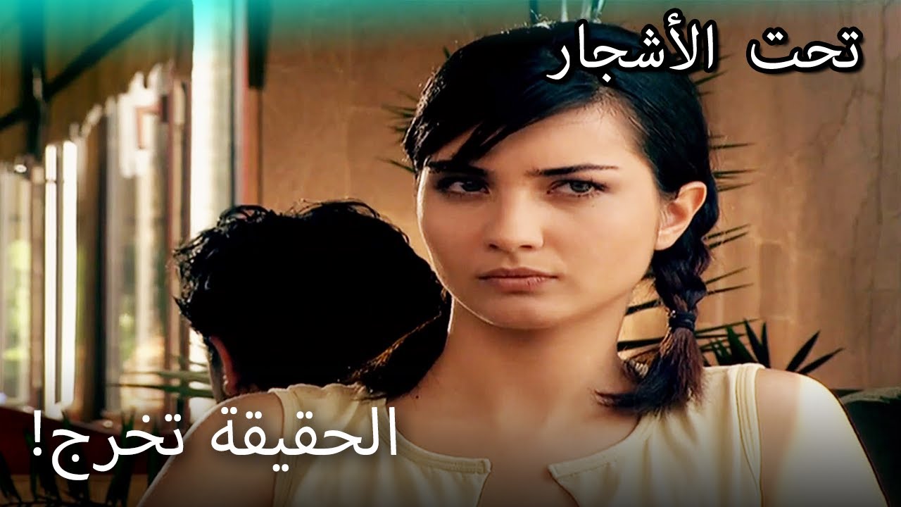 اكتشف فيليز الحقائق! - القسم الخاص تحت الزيزفون