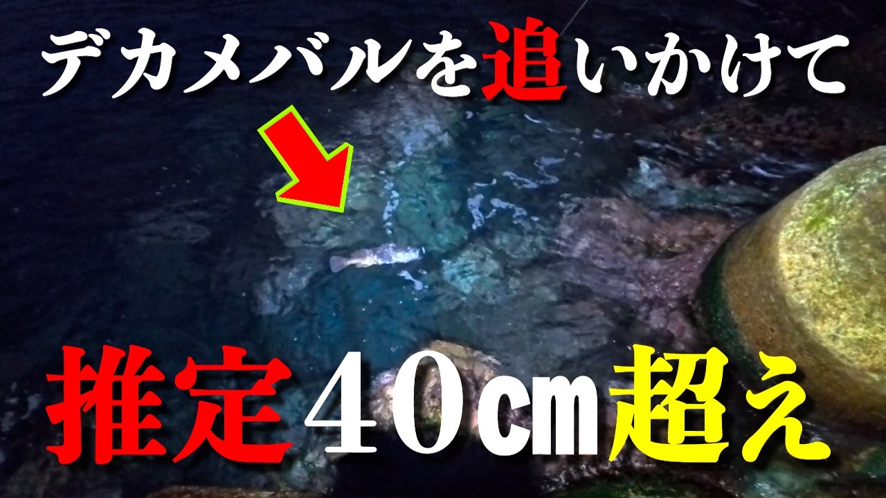 【メバリング】衝撃の40センチ超え！デカメバルをプラグで狙いに行ったらまさかの結末に。