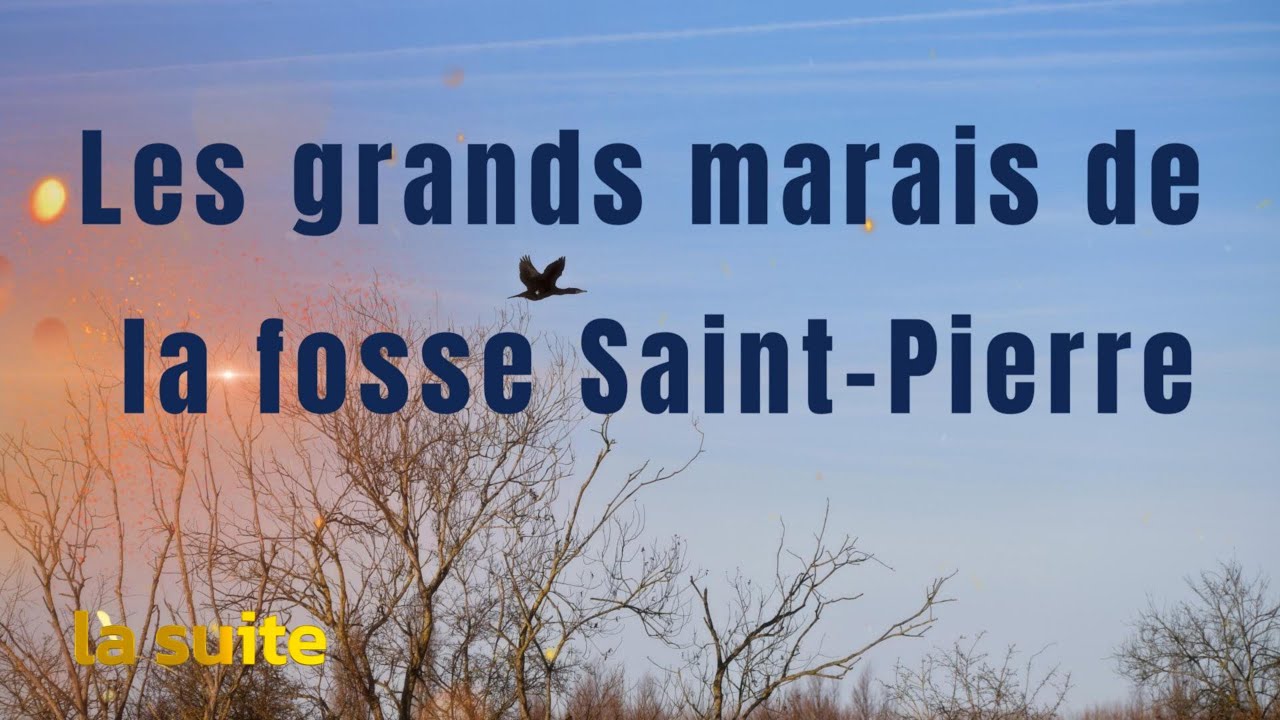 Les grands marais de la fosse saint Pierre     le bout du chemin
