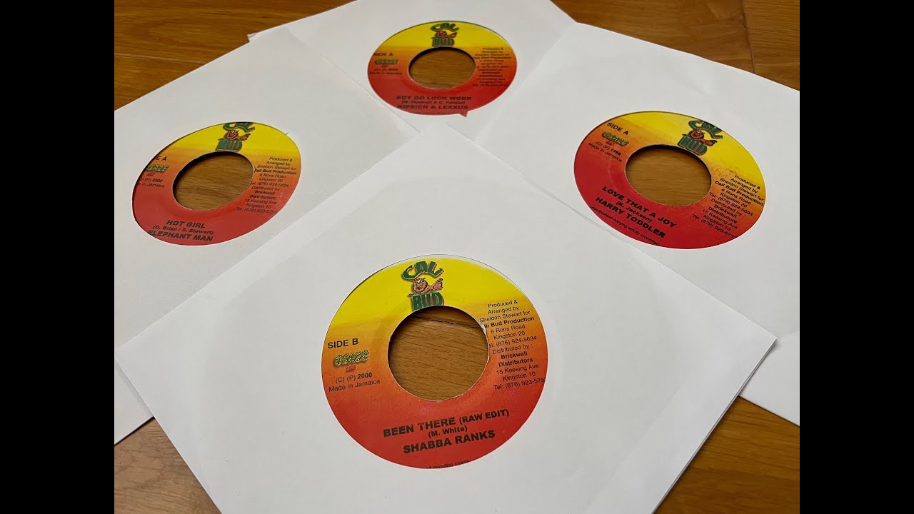 Fire Glare Riddim Mix 1999 (Shabba Ranks, Elephant Man, Harry Toddler, Hawkeye, Determine & more)