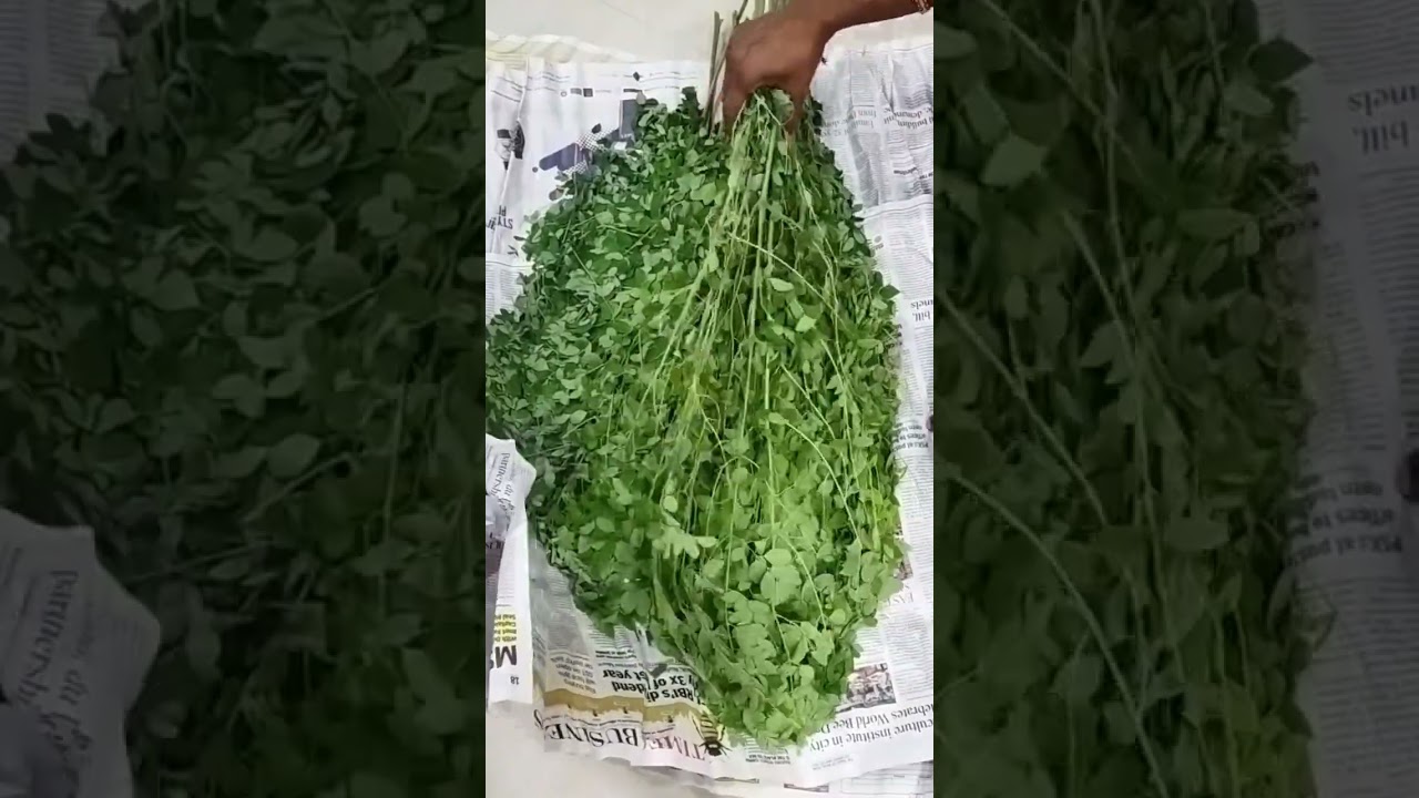 how to remove drumstick leaves easily🤔  #drumsticks #moringa  #shorts #viral #short #yotubeshorts