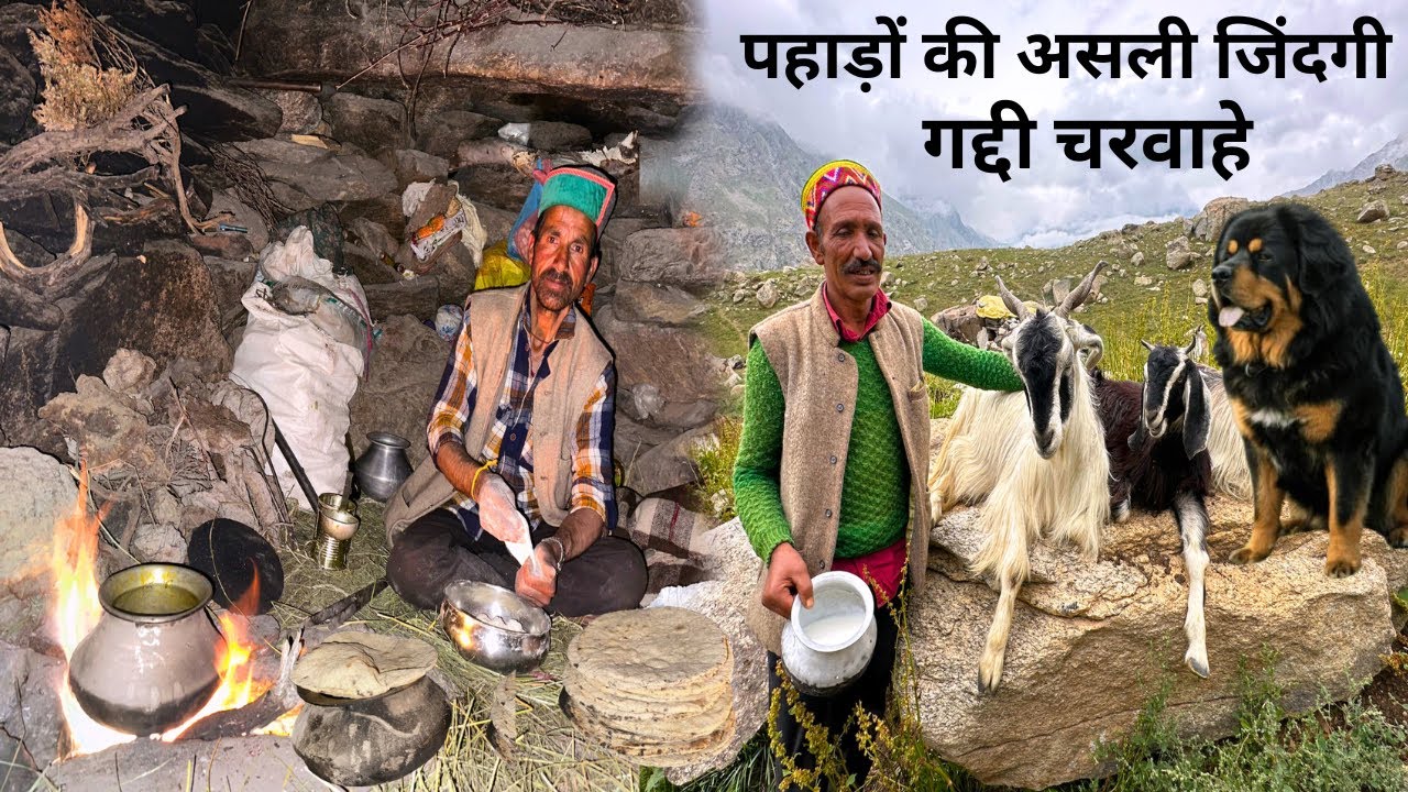 इतने दुर्गम पहाड़ों में कैसे रहते हैं गद्दी चरवाहे? | लाहौल घाटी में भरमौरी गद्दियों का डेरा 
