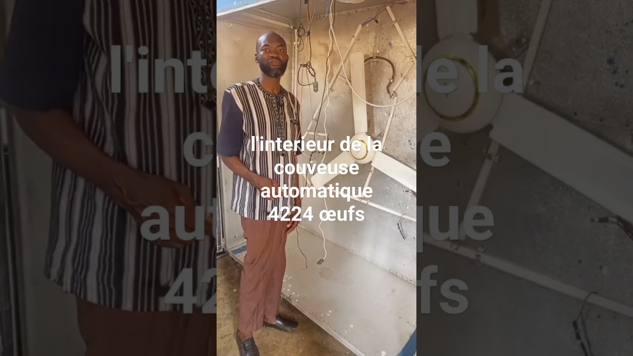 int&eacute;rieur de la couveuse automatique 4224 &oelig;ufs