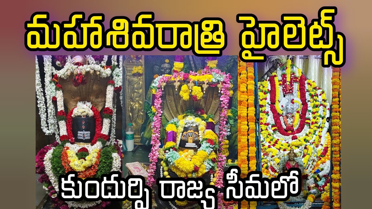 మహాశివరాత్రి హైలెట్ దేవాలయాలకు పోటెత్తిన భక్తజనం