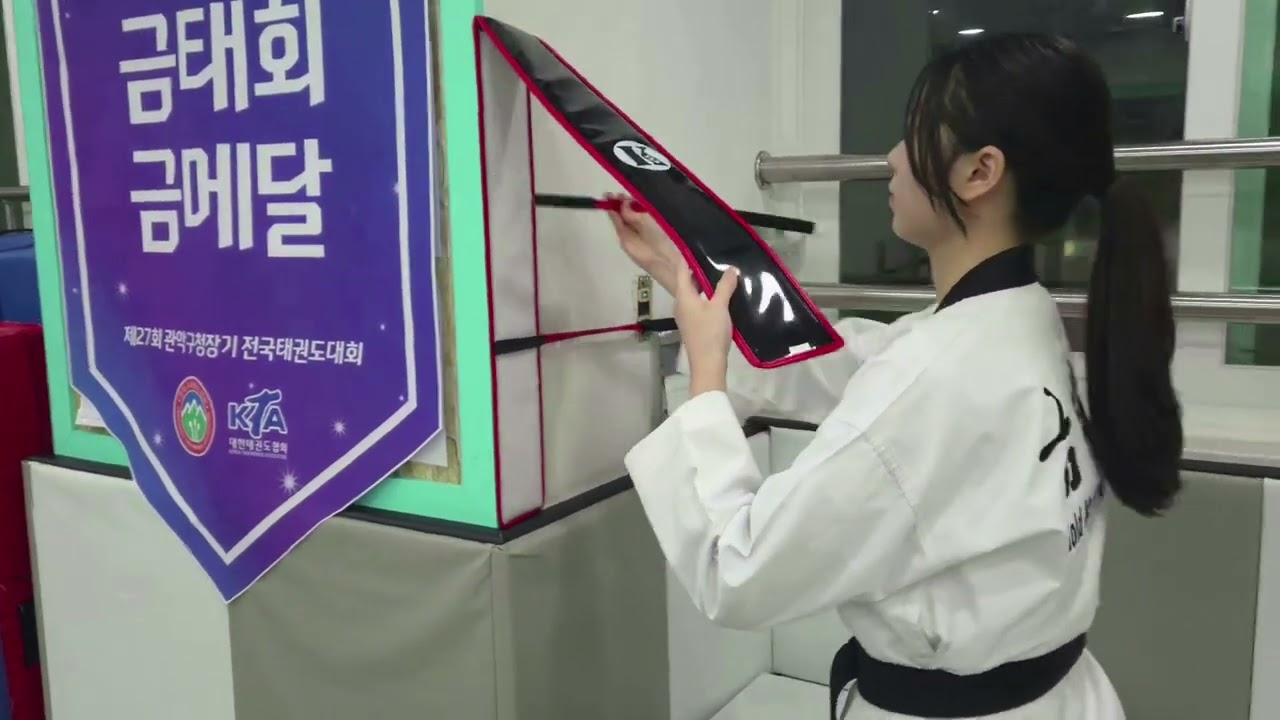 태권샵 정밀타격 A형