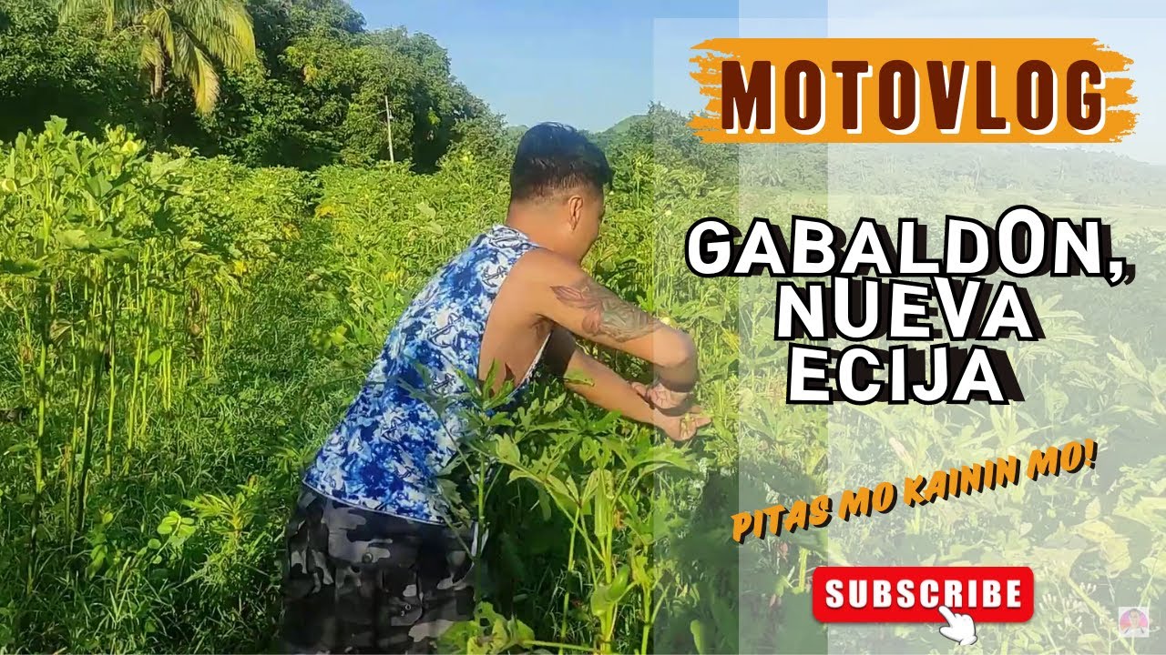 Nueve Ecija | Ganto kasarap ang mga Pagkain sa Probinsya!