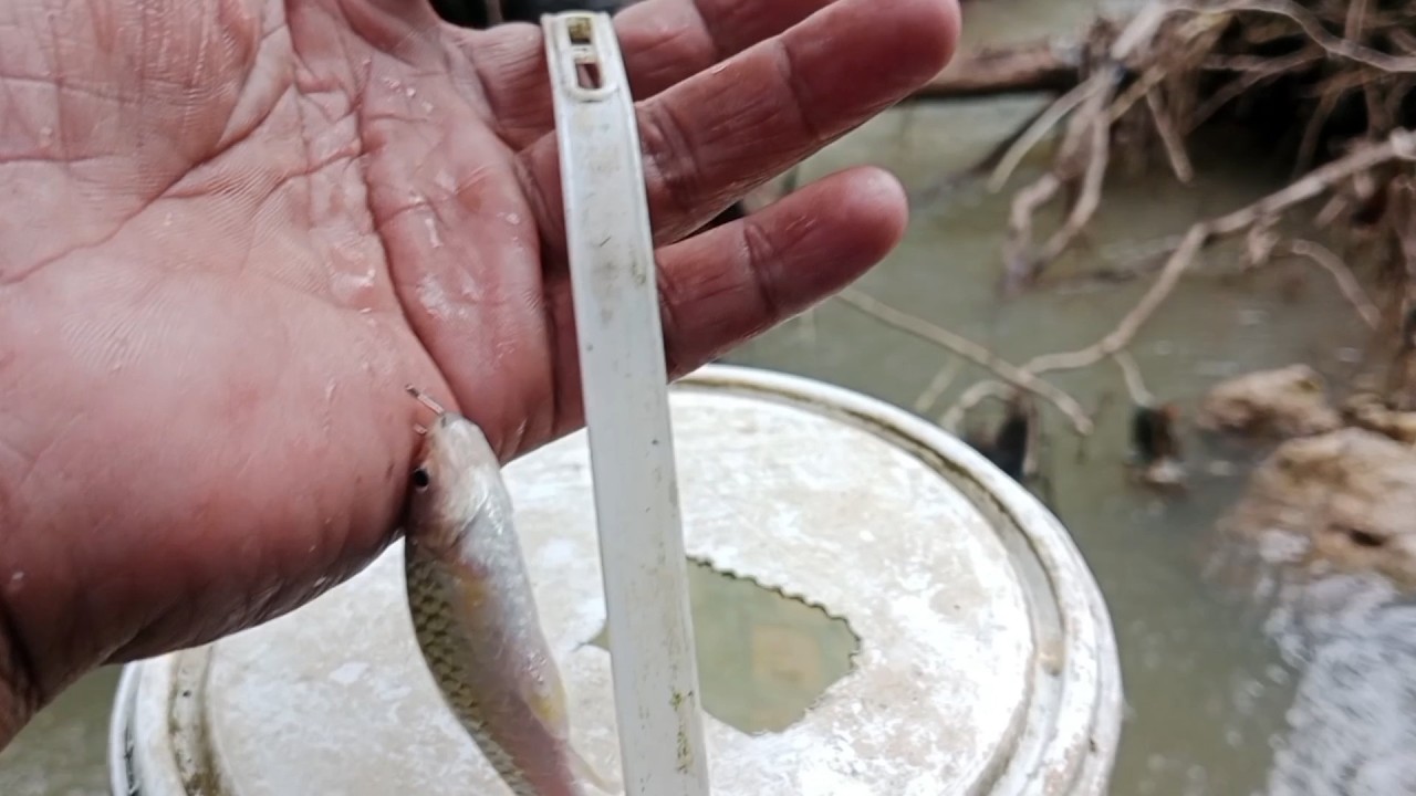 Tolooong pak DEDI, mancing di tempat saya sulit sekali