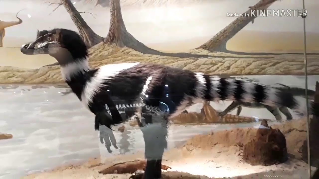 Venha conhecer o museu dos dinoassauros - Peir&oacute;polis