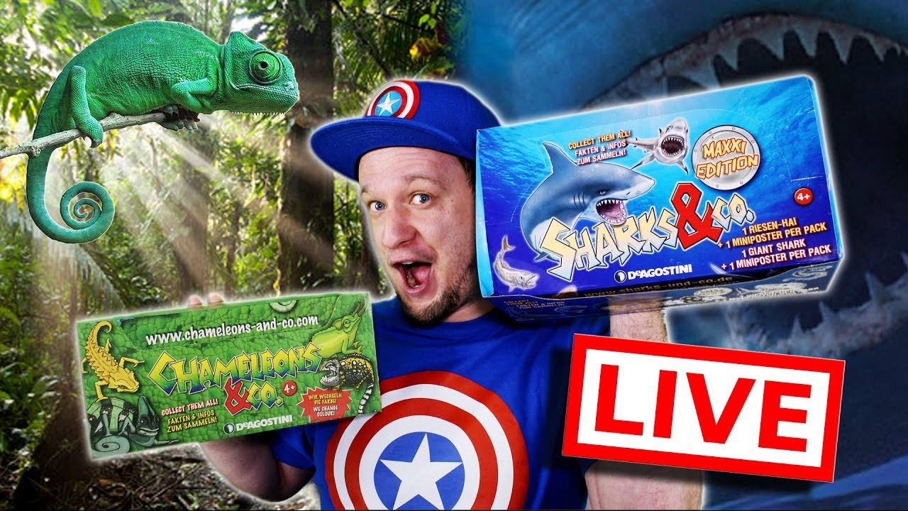 SHARKS & CO + CHAMELEONS & CO DISPLAY UNBOXING -Deutsch-