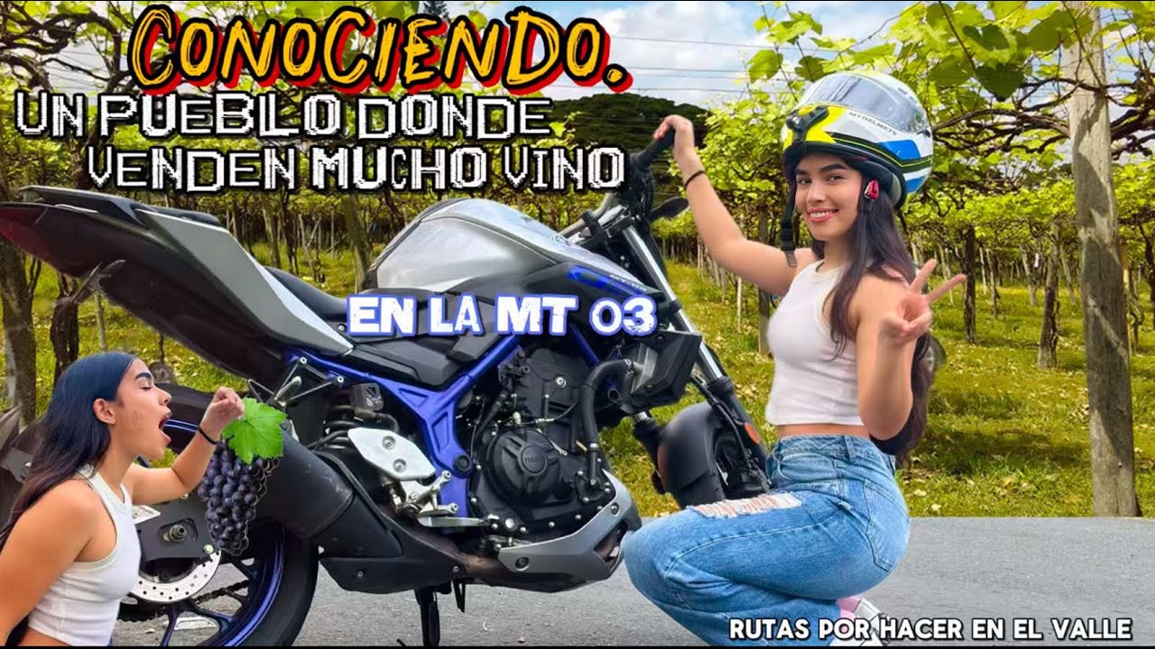 Rutas en el VALLE en la MT 03 ( si les gusta el VINO y la MT está es su ruta )