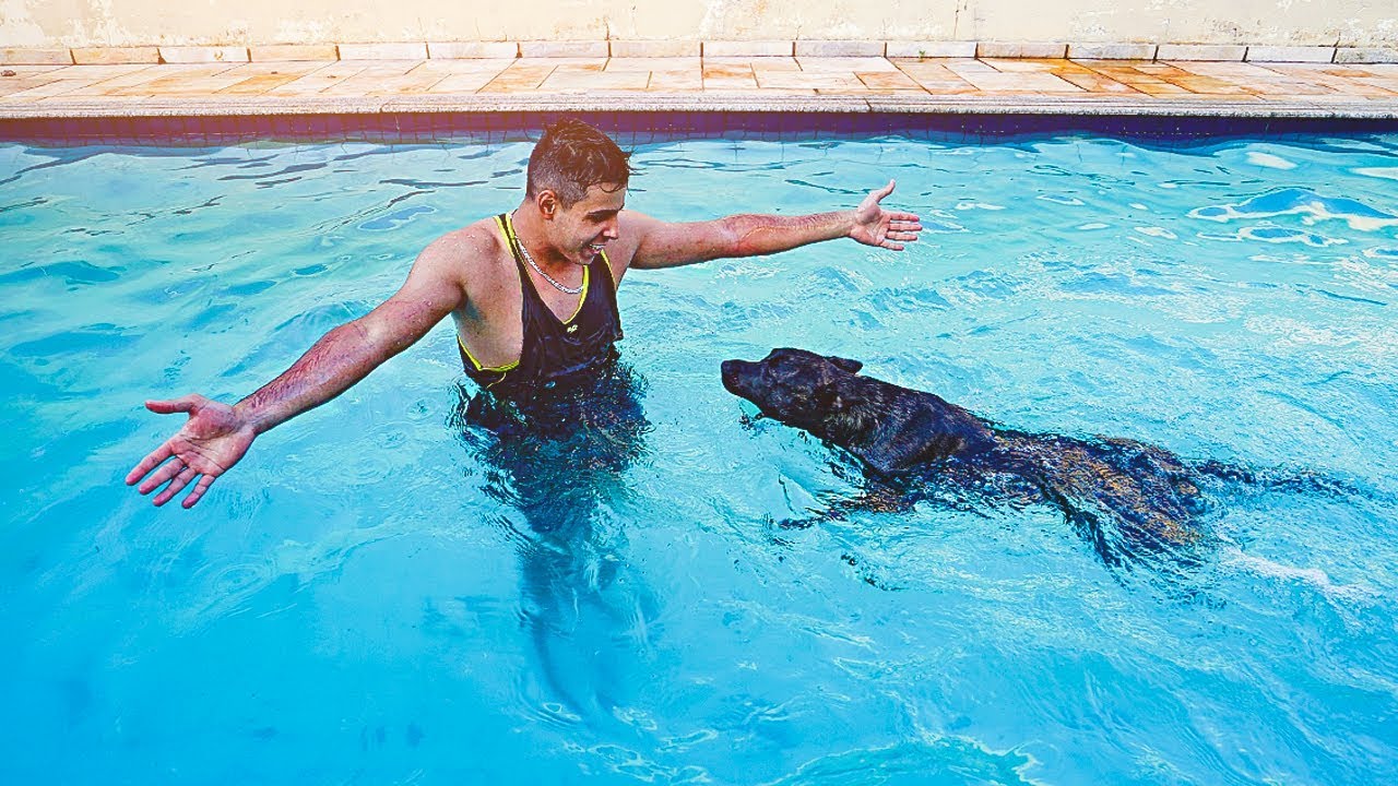 MEU CACHORRO AGORA SABE NADAR