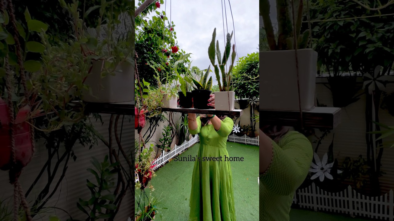 Easy Vertical Gardening #diy #hangingrack #creativeideas #homegarden #sunilassweethome
