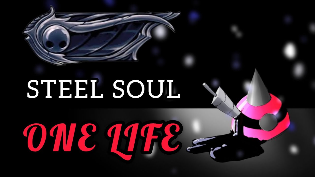 HOLLOW KNIGHT STEEL SOUL - with Dodgbro