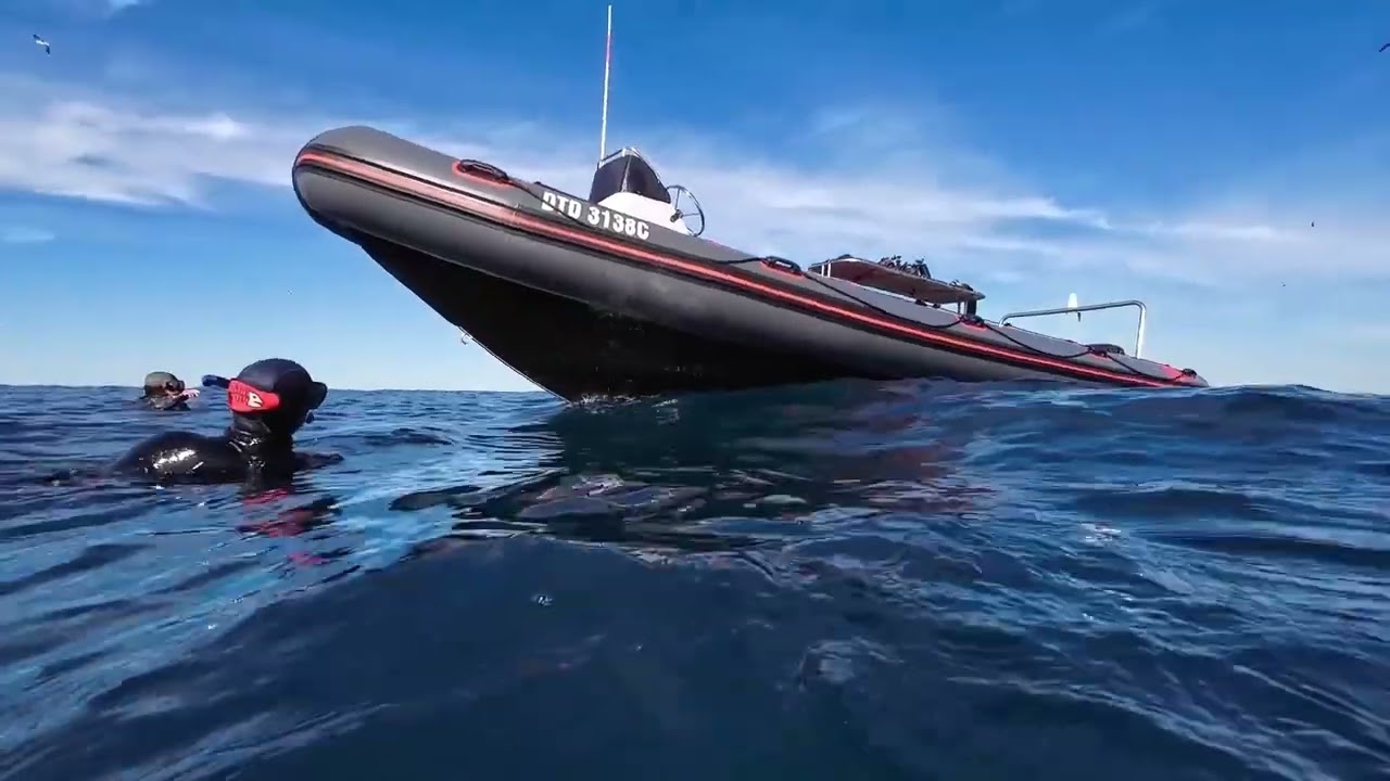 Sardine Run Mpame South Africa with ScubaCo