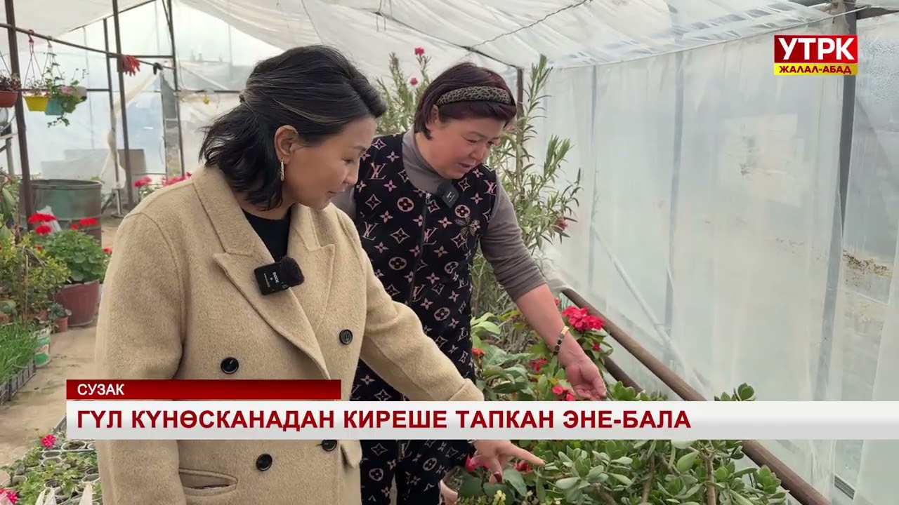 Гүл күнөсканадан киреше тапкан эне-бала