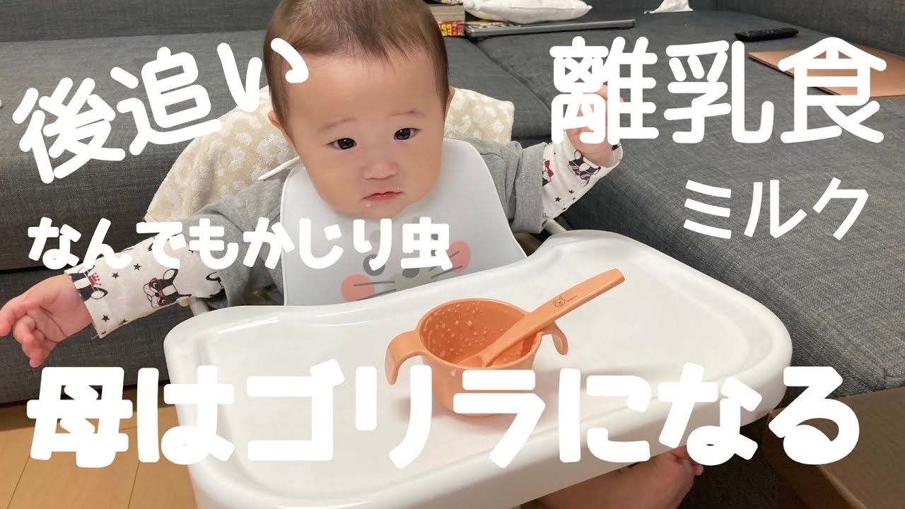 【過去動画】生後７ヶ月/３日間のまとめ/超甘えん坊BOY/抱っこは体力仕事。