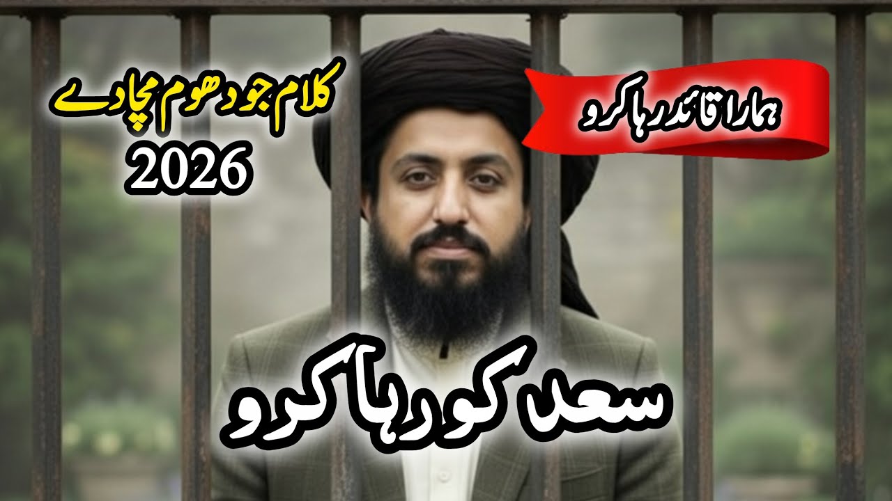 Saad ko raha kro new tlp trana new tlp manqabat@Sachikhbar 