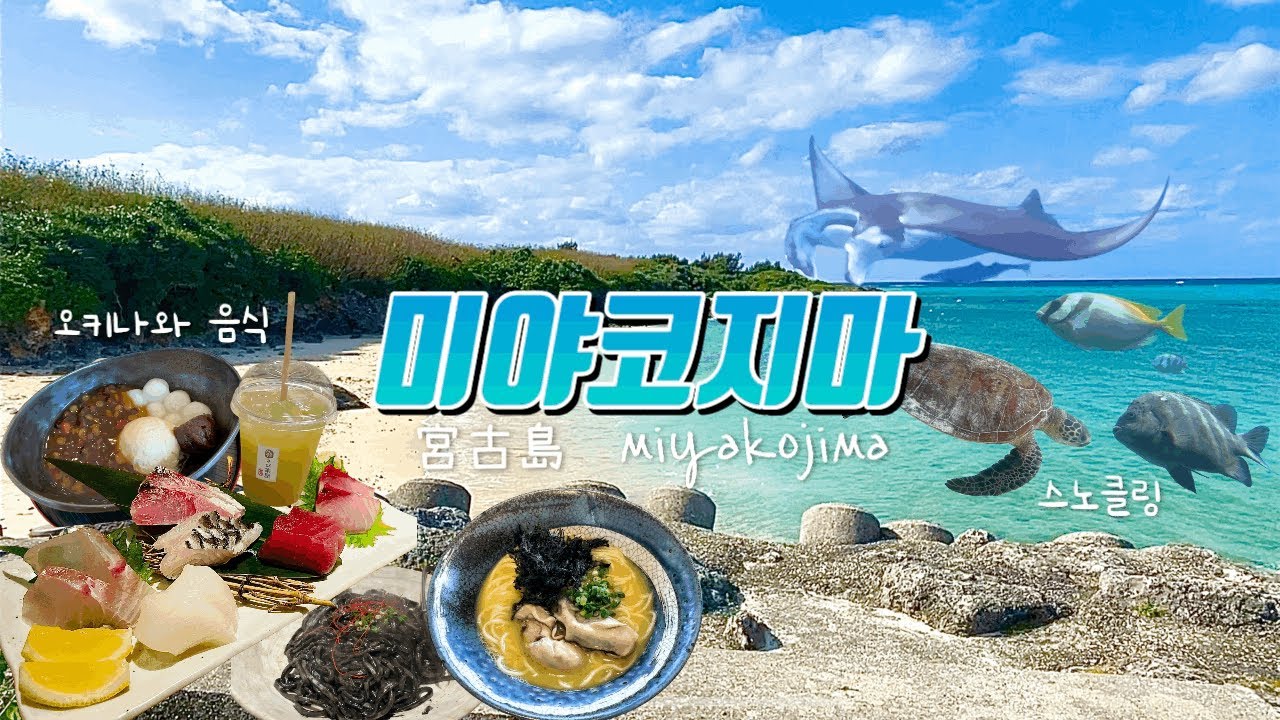 여행Vlog | 🏝️4박 5일 1월의 미야코지마 여행 | 해중공원🐠 | 스노클링🤿 | 바다거북🐢 | 만타가오리 | 사탕수수 음료🍹 | 이자카야 데이리구찌🥢 | 호텔 조식🍽️