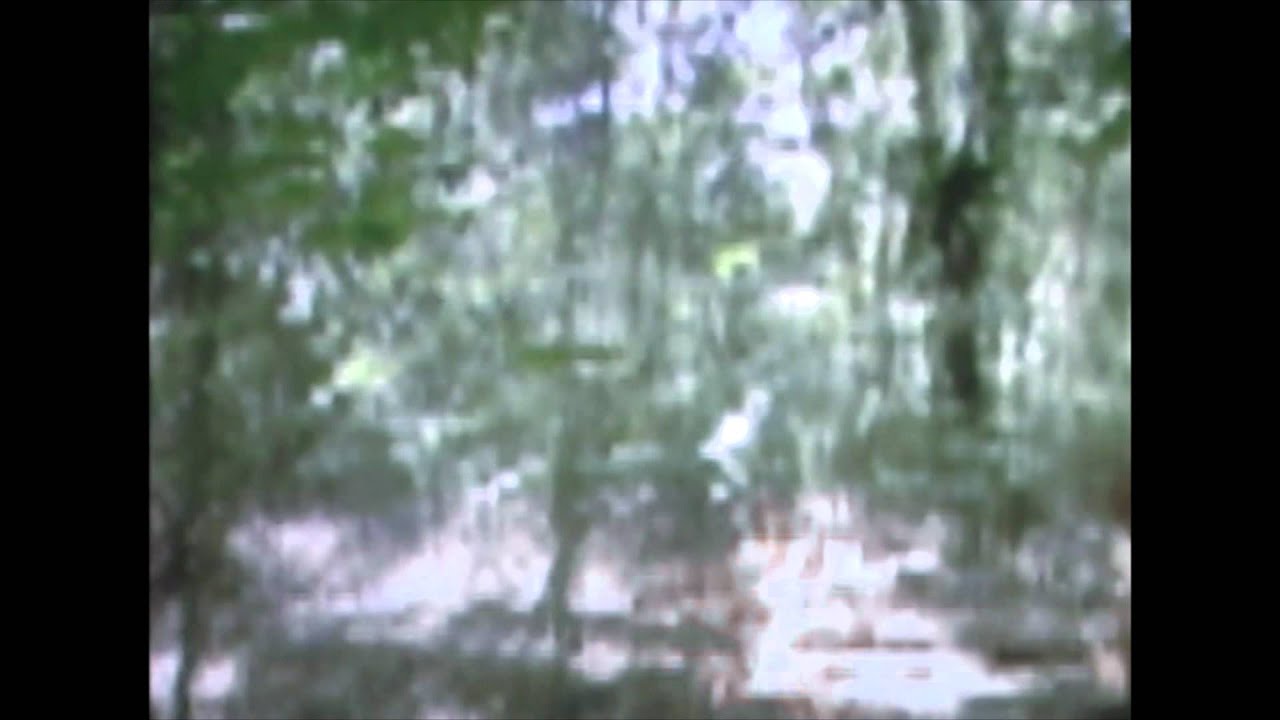 Chinelaspersas Video Oficial 