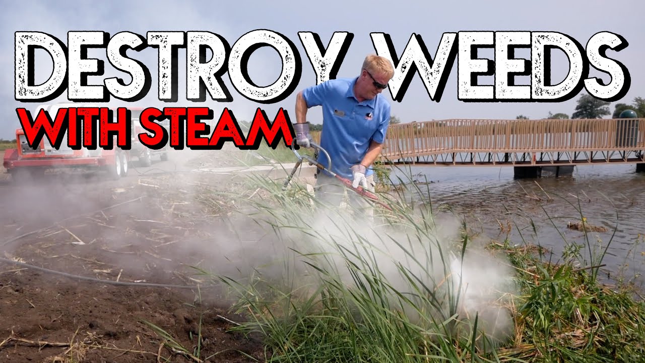 How to DESTROY WEEDS with STEAM (the organic, safe, and effective way...)