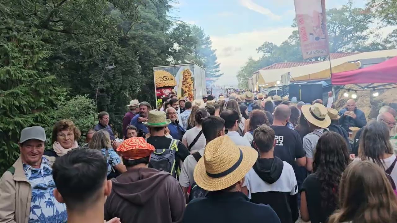 CHEGADA AO RECINTO DOS ROMEIROS DA FREGUESIAS CIRCUNVIZINHAS, AO RECINTO DE S.JOÃO D´ARGA 2025