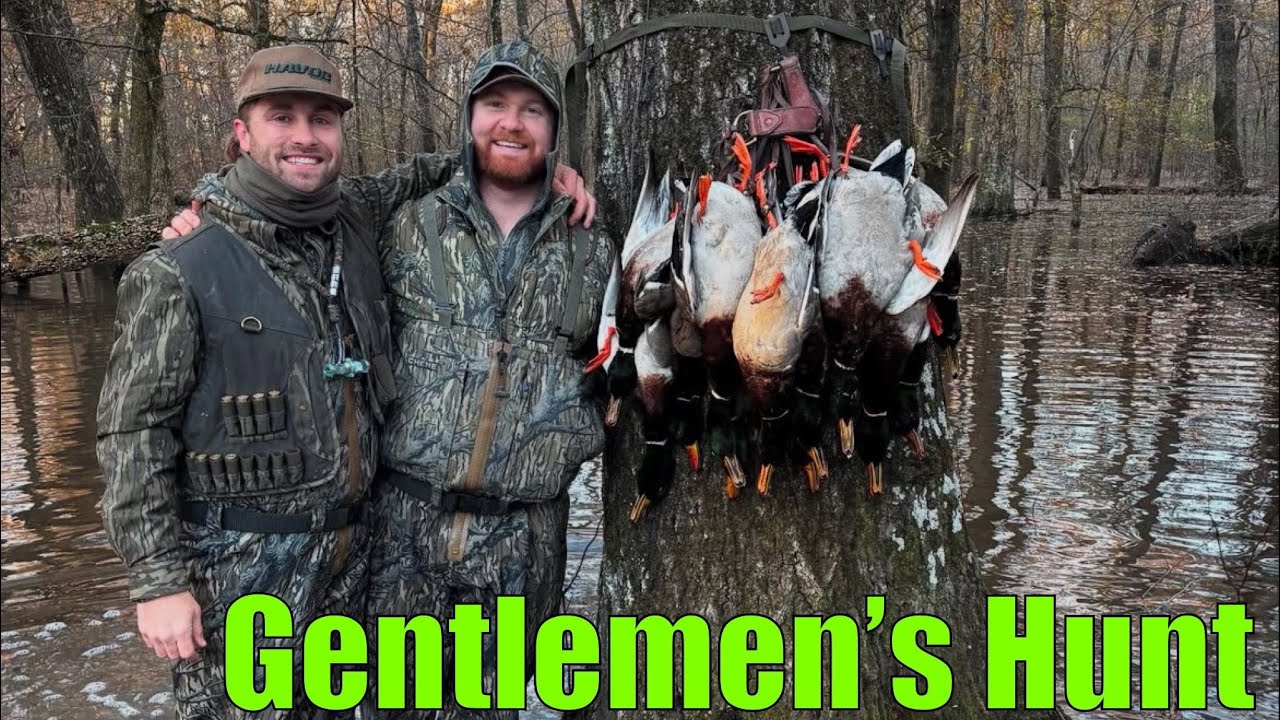 Arkansas Flooded Timber Duck Hunting - Gentleman's Hunt - A DUCKumentary