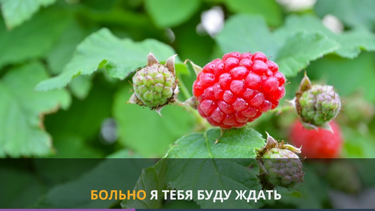 Мот и Бьянка Абсолютно всё караоке