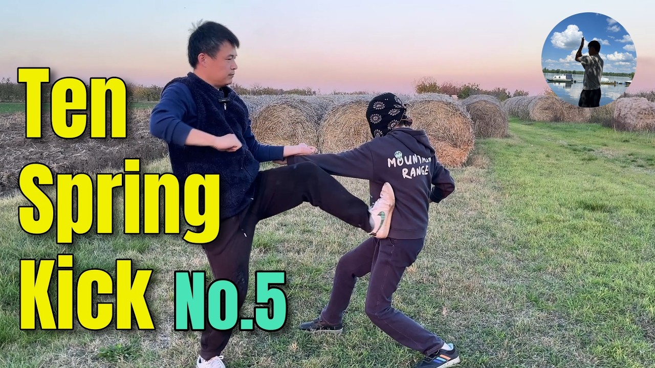 V0008 Ten Spring Kicks (5/10)