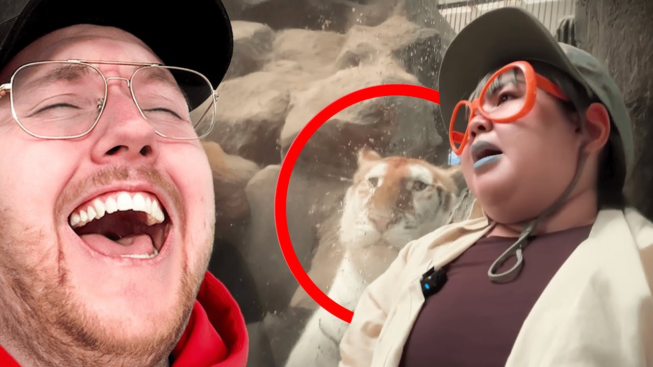 UN&Uuml;BLICHE MEMES ZUSAMMENSTELLUNG HAHA 🤣