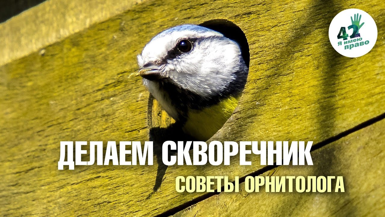 Орнитолог советует. Как правильно сделать скворечник?