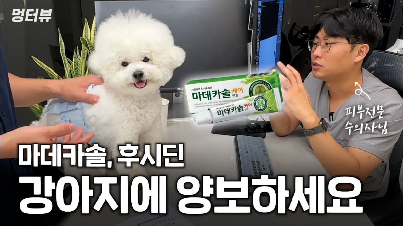 강아지 눈물, 알러지, 발사탕 아직도 고민이세요? 집에선 이렇게 해주세요 | 멍터뷰ep.7