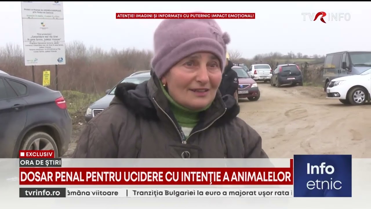 Percheziții la padocul groazei de la Suraia, după dezvăluirile făcute în exclusivitate de TVR